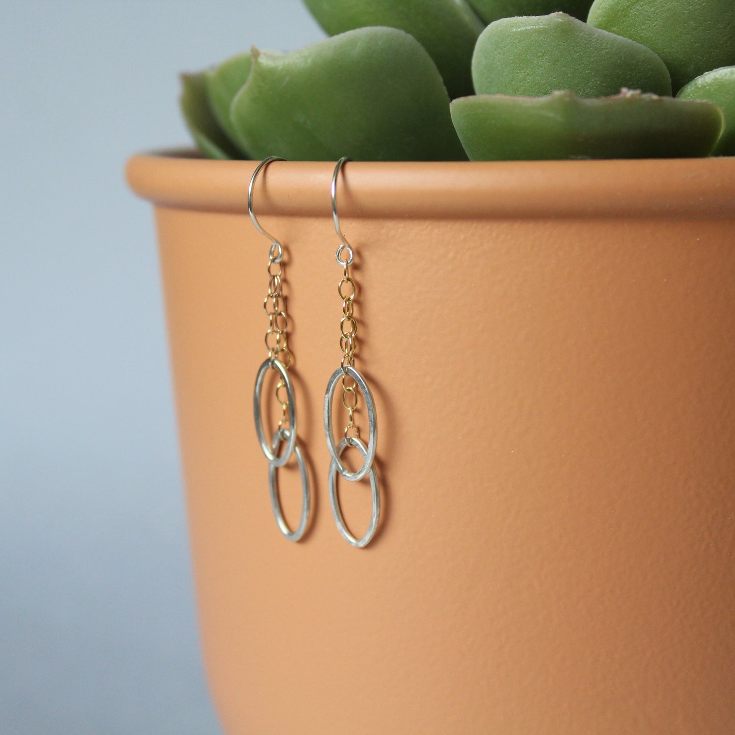 Oval Chain Earrings